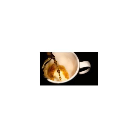 Tisane per la circolazione