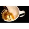 Tisane per la circolazione
