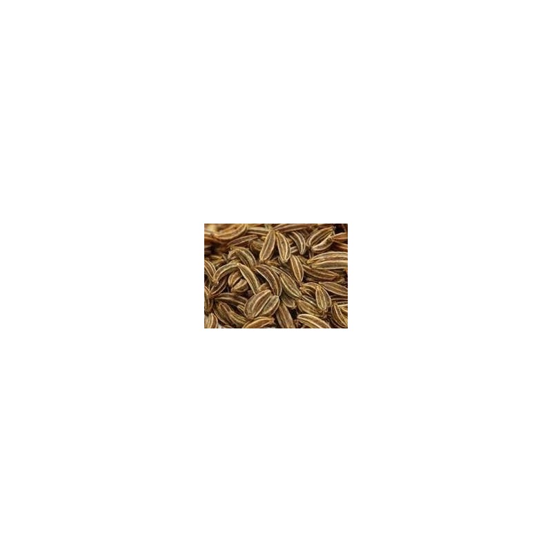 kummel-frutti-interi