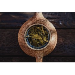 tè-verde-bancha-foglie-intere