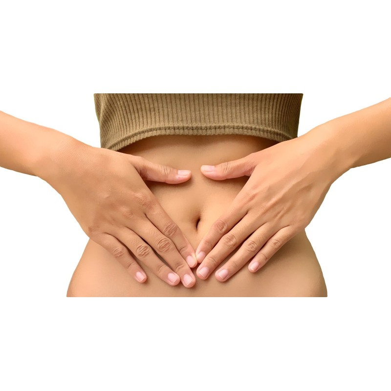 microbiota-e-eccesso-di-calore-nel-corpo