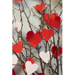 salute-del-cuore